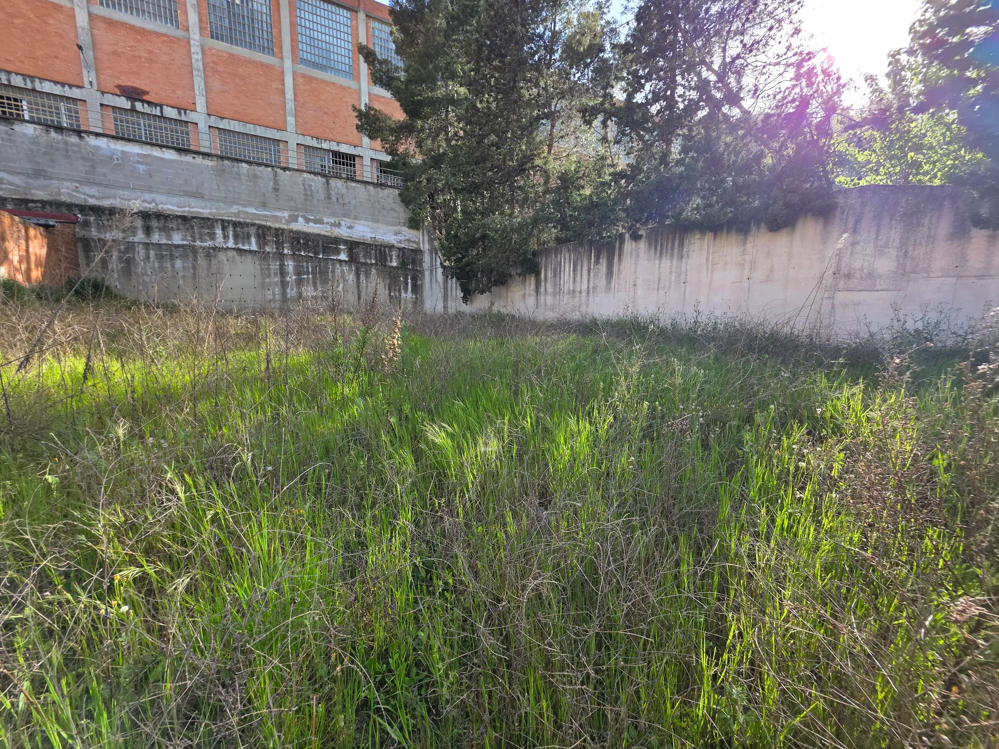 Terreno Urbano de 245 m² Listo para Construir