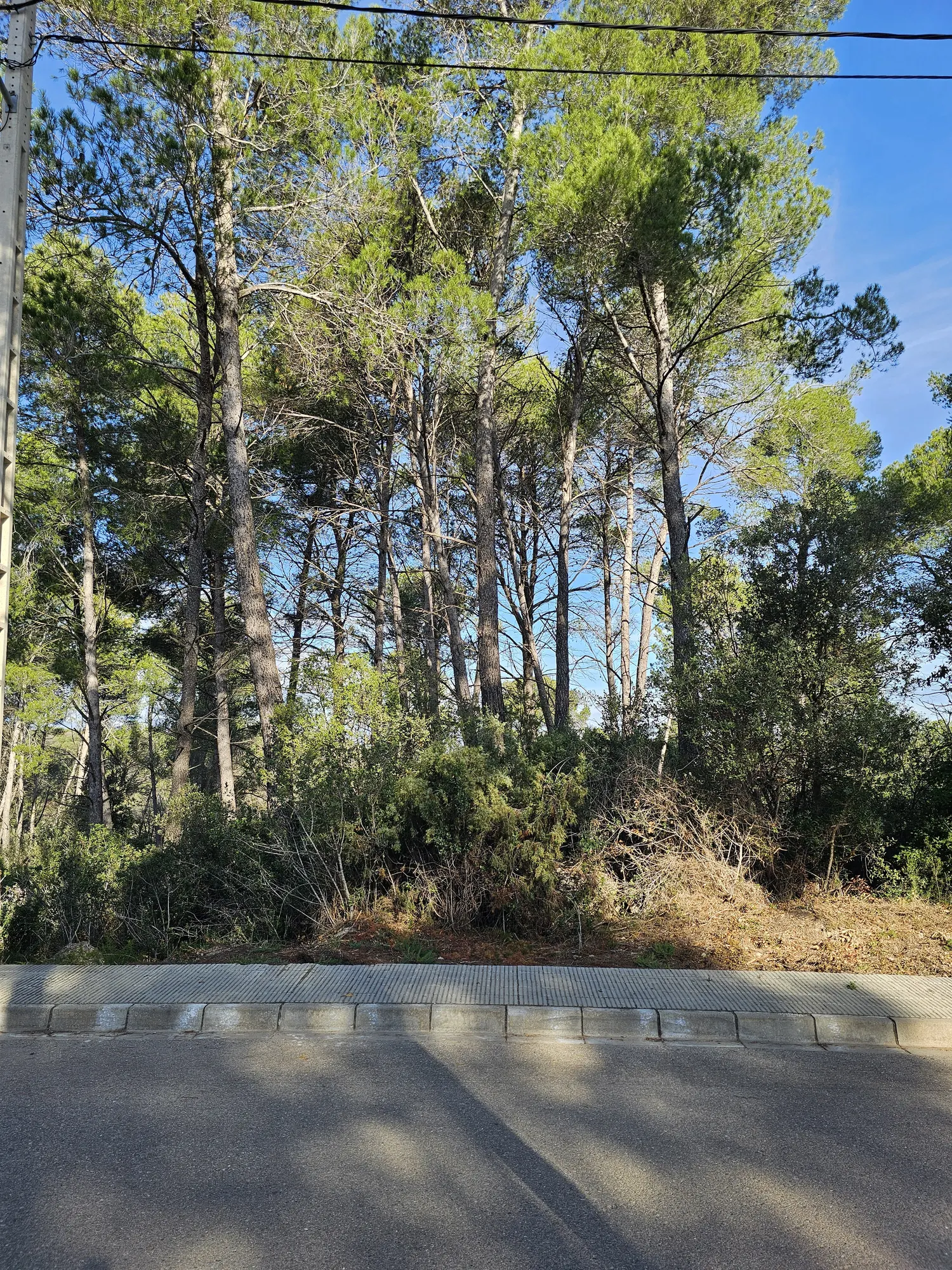 Solar Urbano en Castell de Cabrera: ¡Oportunidad Única!
