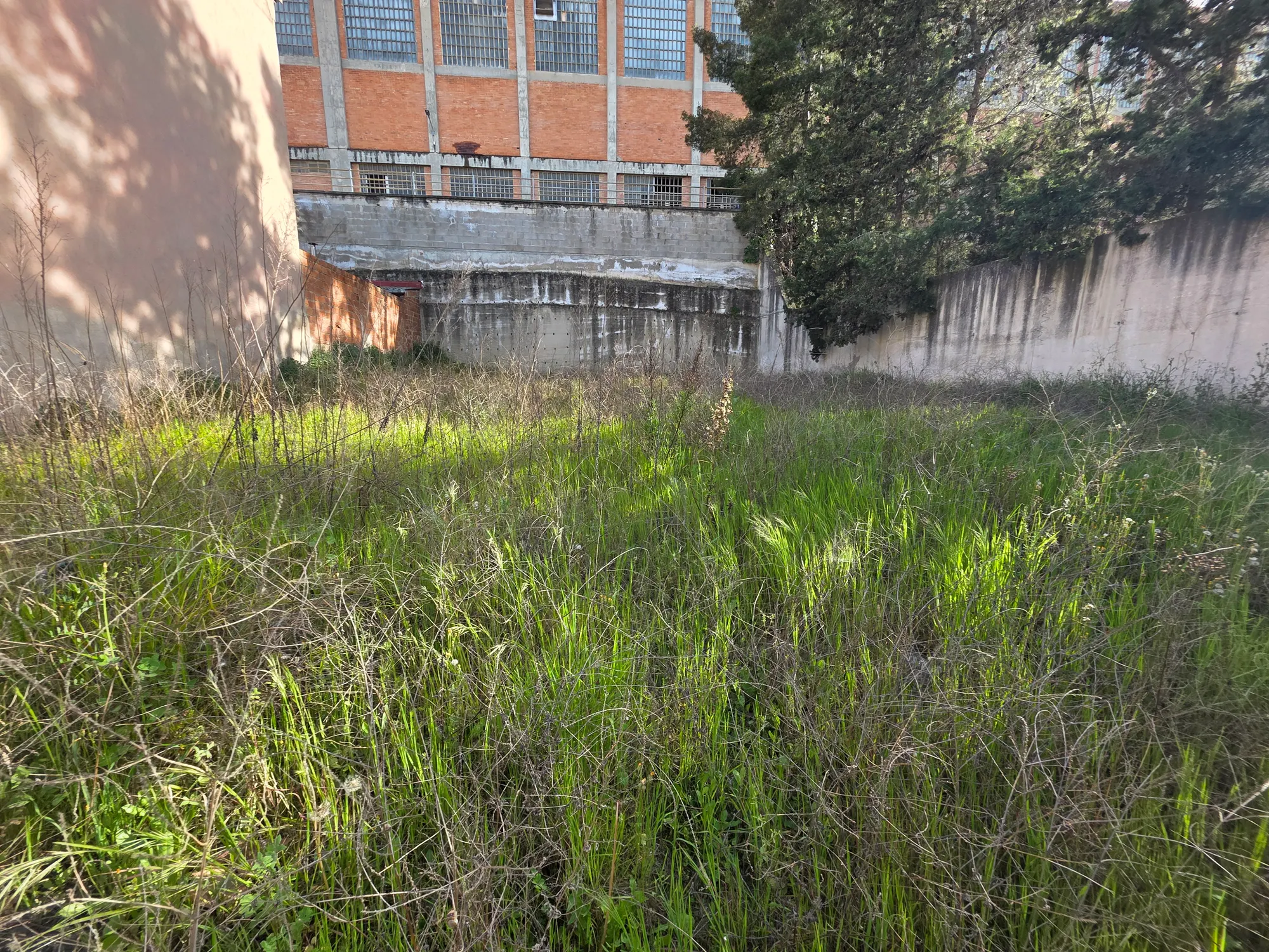 Terreno Urbano de 245 m² Listo para Construir