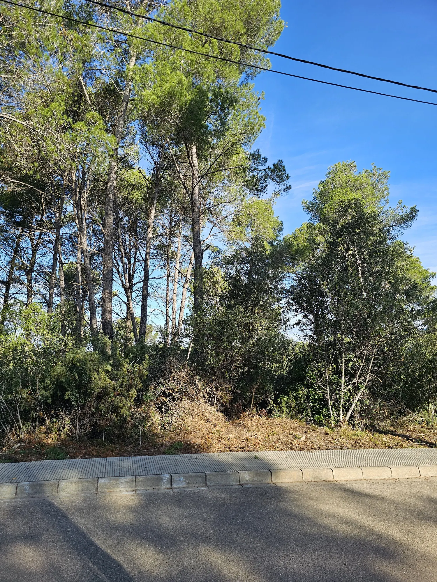 Solar Urbano en Castell de Cabrera: ¡Oportunidad Única!