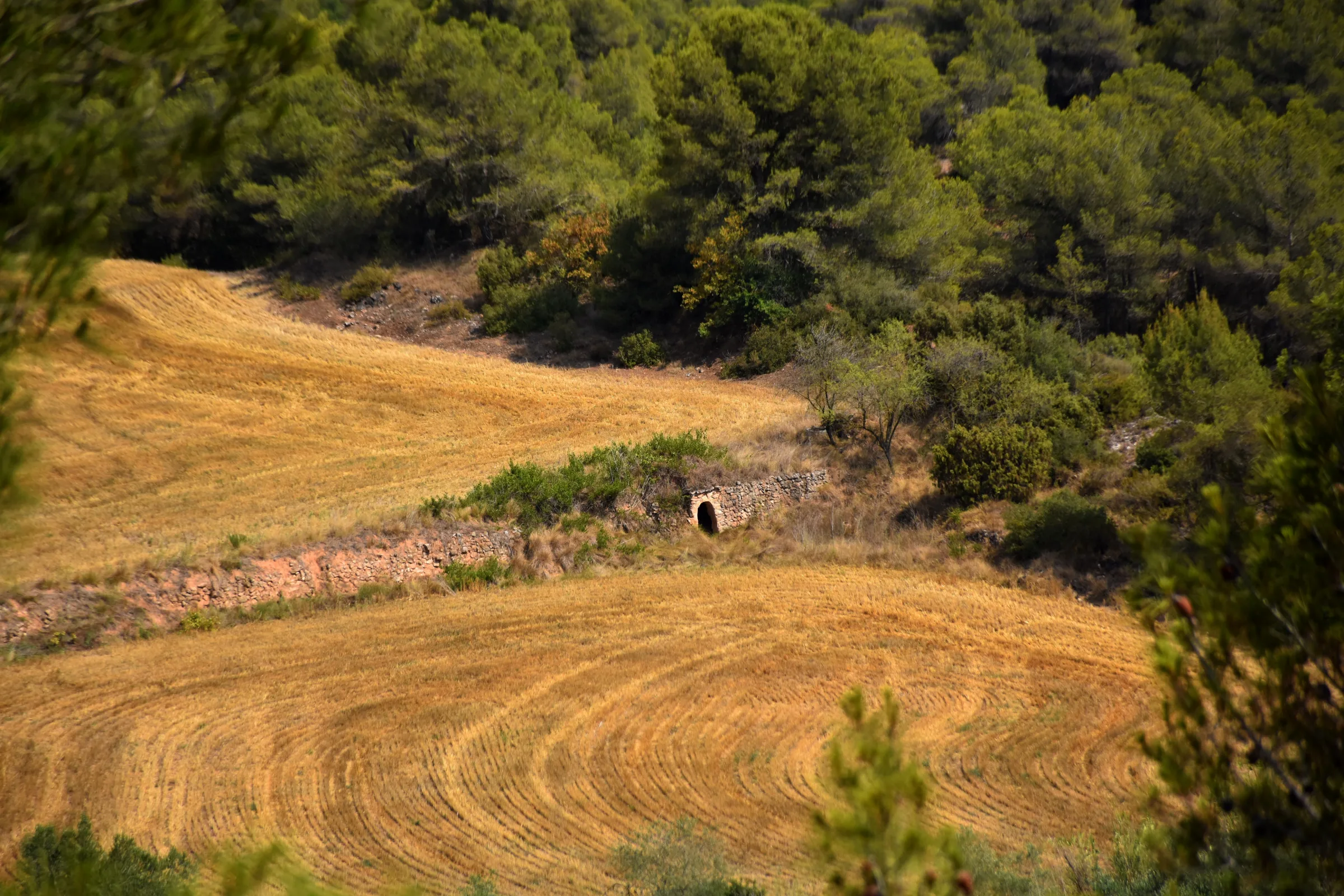 Paisaje de l’Anoia, territorio principal de Biventa